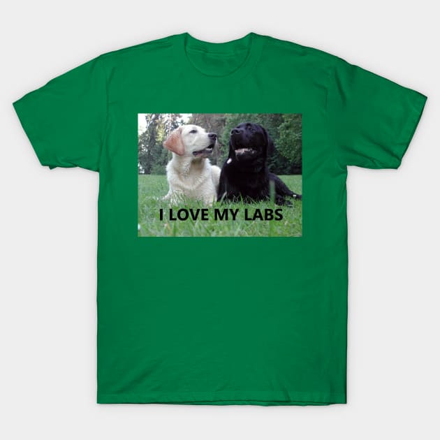 Lab Love with PIcture T-Shirt by Wanderingangel